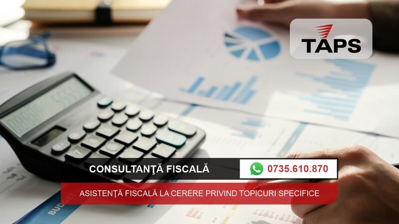 Tax and Audit Professional Services- Rotaps.ro